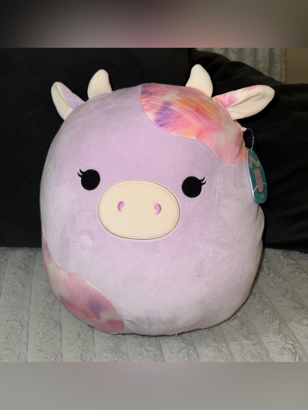 16” NWT Suri Squishmallow